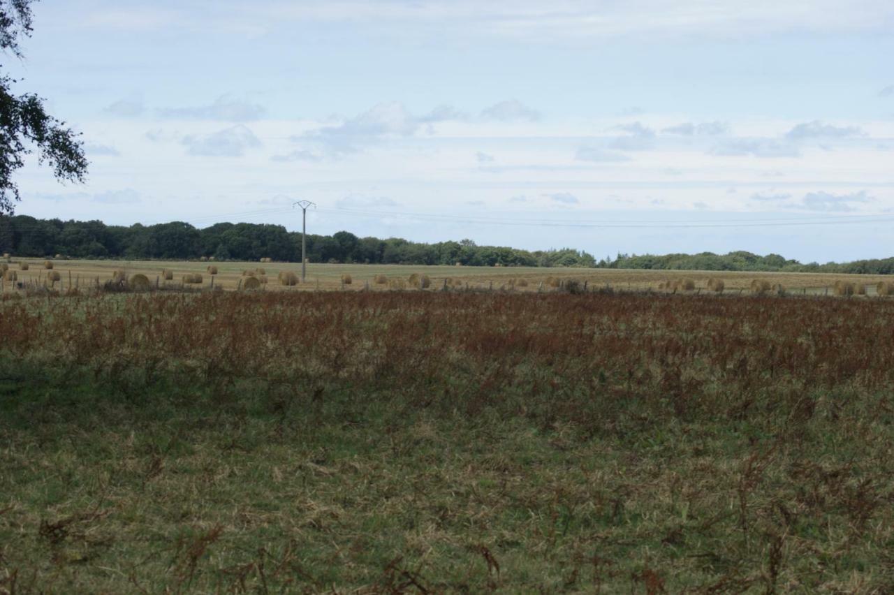 Le Tiot Gite Le Bois de Cise エクステリア 写真